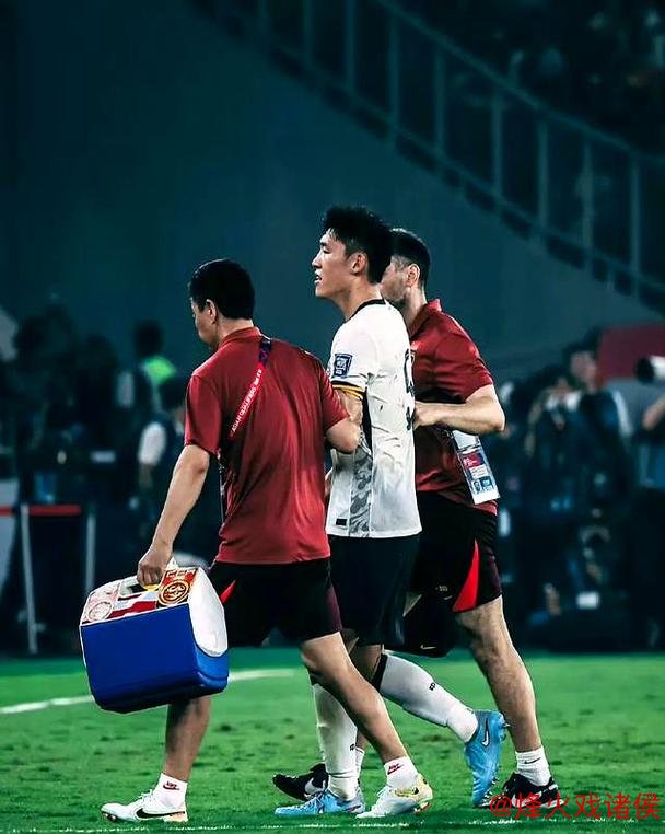 申花面临困境：朱辰杰与蒋圣龙两大核心受困伤病