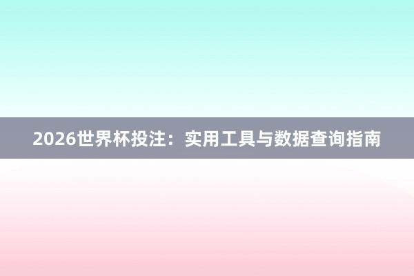 2026世界杯投注：实用工具与数据查询指南