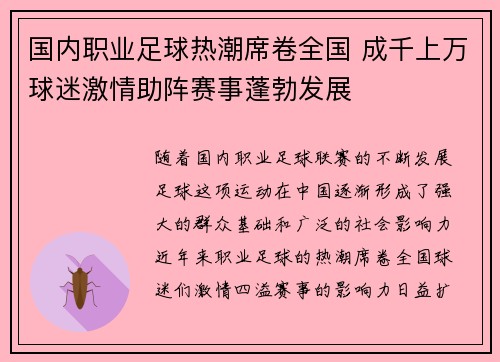 国内职业足球热潮席卷全国 成千上万球迷激情助阵赛事蓬勃发展