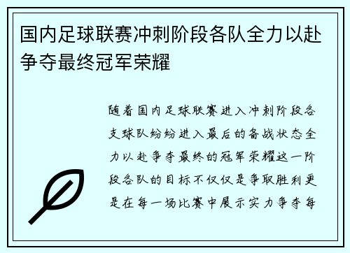 国内足球联赛冲刺阶段各队全力以赴争夺最终冠军荣耀